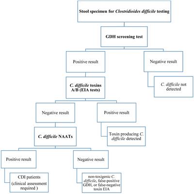 Rapid-format recombinant antibody-based methods for the diagnosis of Clostridioides difficile infection: Recent advances and perspectives